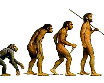 теория эволюции